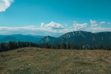Austria, Fladnitz an der Teichalm. Beautiful mountains and fields, summer in Austria. Tourism and hiking in Styria.