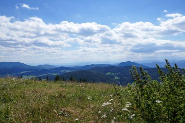Austria, Fladnitz an der Teichalm. Beautiful mountains and fields, summer in Austria. Tourism and hiking in Styria.