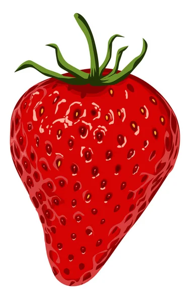 Fresh Strawberry Fruit Vector Design Template — Stock Vector