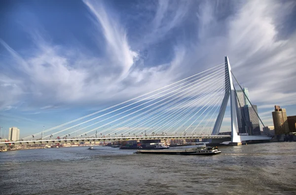 Most Erasmus v Rotterdamu na řece nieuve maas — Stock fotografie