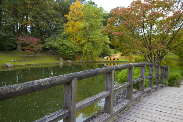 일본 정원, hasselt, 벨기에 있는 연못에 다리에서 보기 — 스톡 사진