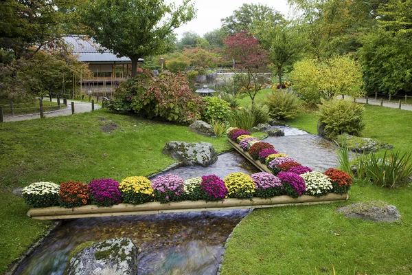 Flores sobre arroyo en Japanese Garden, Hasselt, Bélgica —  Fotos de Stock
