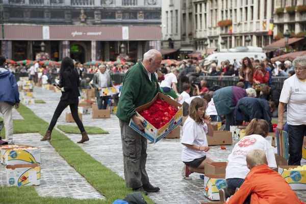 People create flower carpet on the Grand Place square — Stock Photo, Image