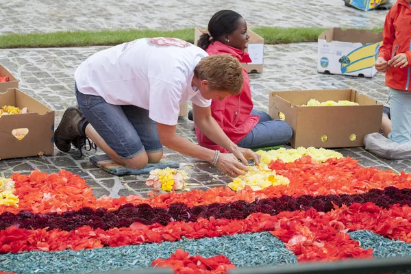 Menschen legen Blumenteppich auf dem Marktplatz an — Stockfoto