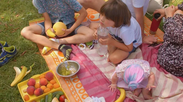 Kamera objíždí velkou rodinu na pikniku v městském parku. Ruka bere hrozny. — Stock fotografie