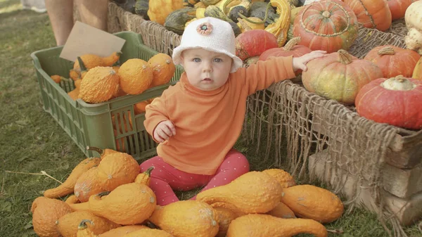 Brincadeira de bebê com uma abóbora verde no mercado de agricultores, mãos de mães — Fotografia de Stock