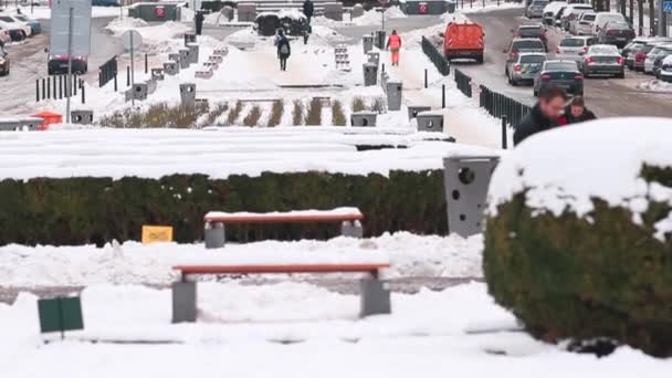 Prag şehrinin ön cephesindeki Ulusal Müze manzarası — Stok video