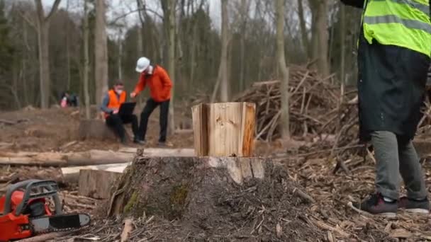 Skogvaktaren hugger ett träd med en yxa. Loggning, preparering av trä för transport. — Stockvideo