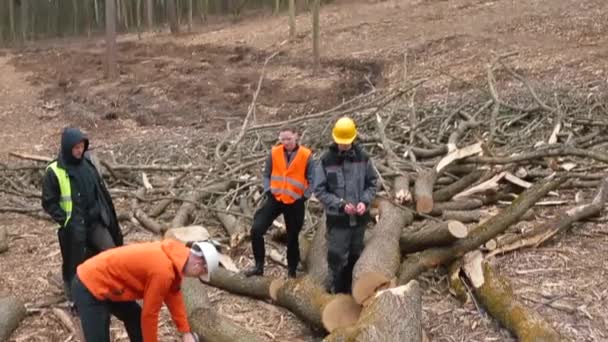 Arbetare som håller motorsåg. Sågning av timmer. Sågspån flyger in i linsen. — Stockvideo