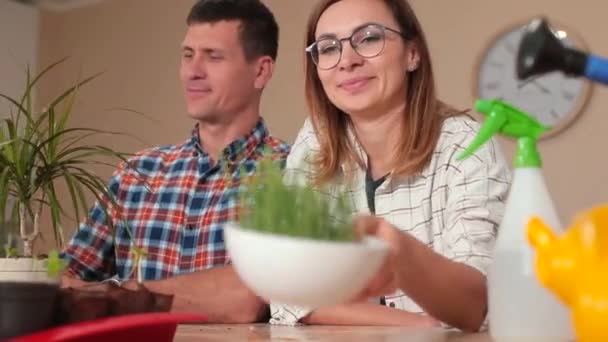 Vrouw houdt bord met planten in handen. Demonstratie jonge spruit, vers voedsel — Stockvideo