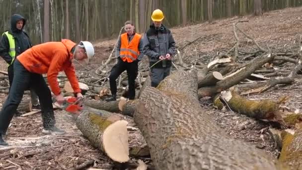 Taglialegna uomo utilizza motosega legno tagliato Ritratto lavoratore forestale professionale — Video Stock