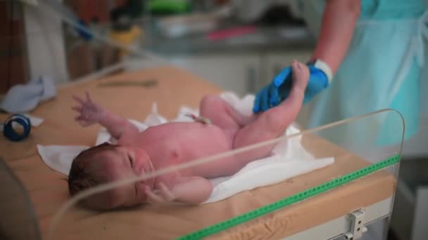 Sköterskan plockar upp nyfödda från bordet. Hon gör forskning mätning barn. — Stockvideo