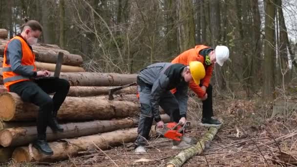 Provádění těžby dřeva. Asistent řeže kmenovou pilu — Stock video
