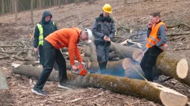 Müdür ağaç kesmede elektrikli testere kullanıyor. Ulaşım için odun kesiyor.. 