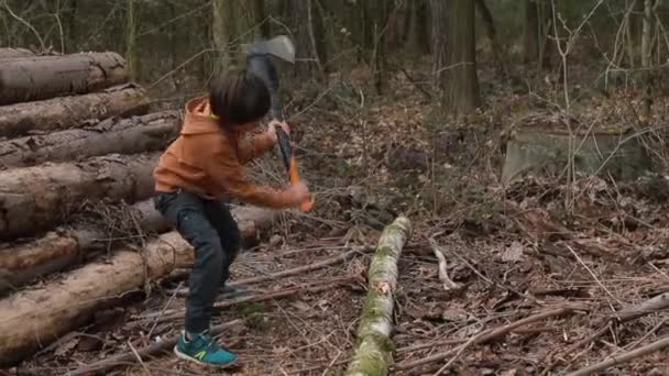 Menino em idade escolar primária corta um tronco deitado no chão com um machado na floresta. — Vídeo de Stock