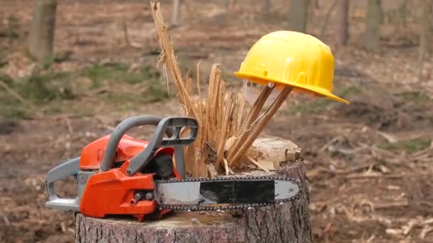 Motosierra y casco tendidos en el tocón del árbol. Crisis de tala. Despido del personal. — Vídeo de stock