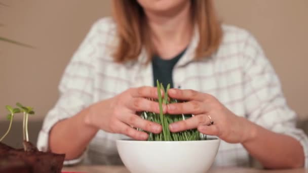 テーブルの上で植物を調べる農家のカップル。成長する食物 — ストック動画