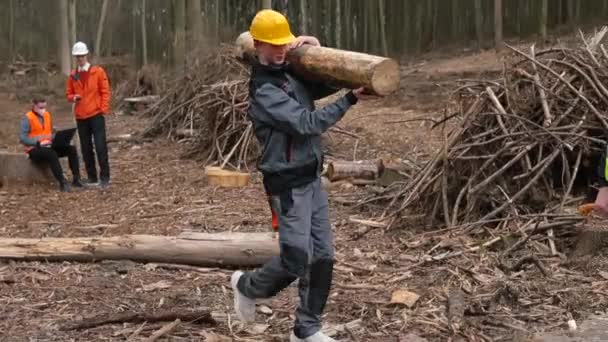 El trabajador de trabajo maderero lleva registro, lo establece. Procesamiento de madera para leña. — Vídeo de stock