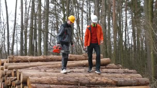 관리자는 보조접힌 통나무와 함께 단계를 만드는 통신 제재소 일 — 비디오