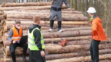 Mühendis ve işçiler satmadan önce kerestenin kalitesini tartıştılar