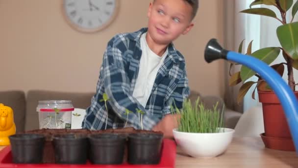 O rapaz e o pai estavam em casa numa mesa de botânica. Plantam plantas, regam-nas — Vídeo de Stock