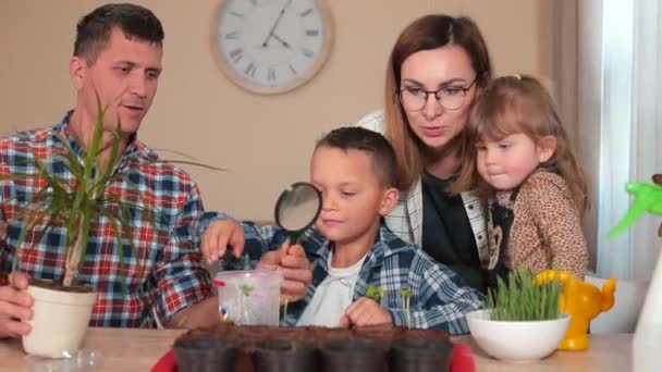 Mamá enseña a la familia a hacer plantas. cultivar alimentos frescos en casa. — Vídeos de Stock