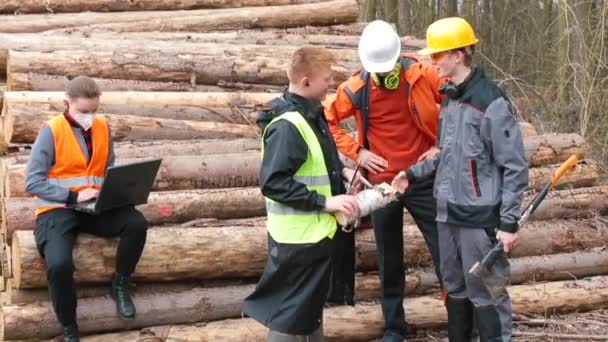 集体伐木工人谈话讨论片木料分析木料加工 — 图库视频影像