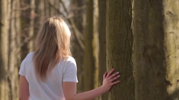 Kvinnan rör vid trädstammar på en promenad i skogen. Människor tillbaka. — Stockvideo