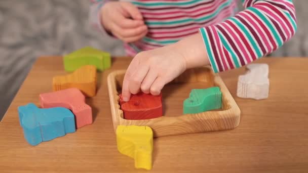 Mains mettre un morceau de jouet écologique sur la table, un puzzle d'objets. — Video