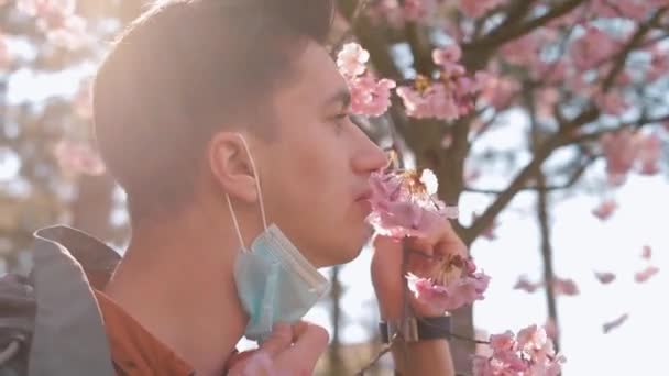 Homem tira a máscara, fareja flores de primavera no dia ensolarado Harmonia com a natureza — Vídeo de Stock