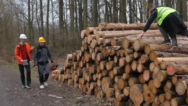 Менеджер у шоломі показує помічника з ведення журналу робіт. Запобіжні заходи щодо безпеки стекованих дерев — стокове відео