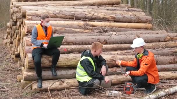 Gruppavverkning arbetare talar Diskussion stycke trä Analys träbearbetning — Stockvideo