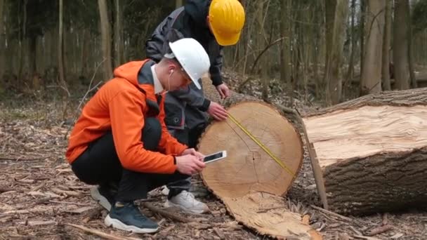 Logging werknemers afwerking werk in bos manager ontvangt bericht in oortje — Stockvideo