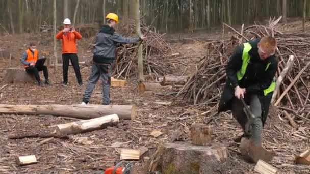 Il forestale fa male all'albero con un'ascia. Lavoro di registrazione Assistente lancia rami lavoro di squadra — Video Stock