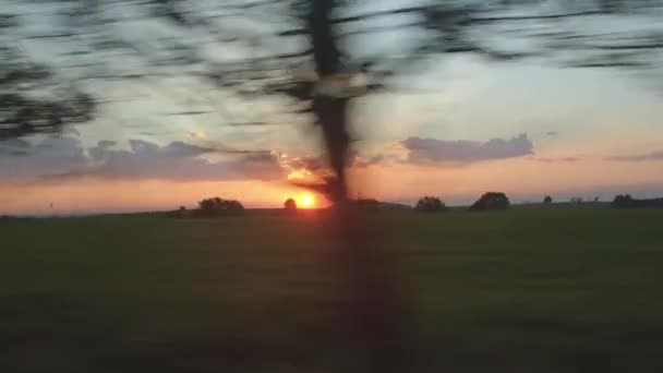 Vista desde el coche hasta la carretera, Sunset. El taxista está contento.. — Vídeos de Stock