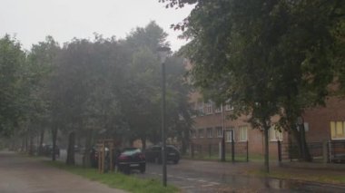 Şehirde yağmur damlaları var. Suyun altındaki ağaçlar. Bitkilerin doğal sulama.