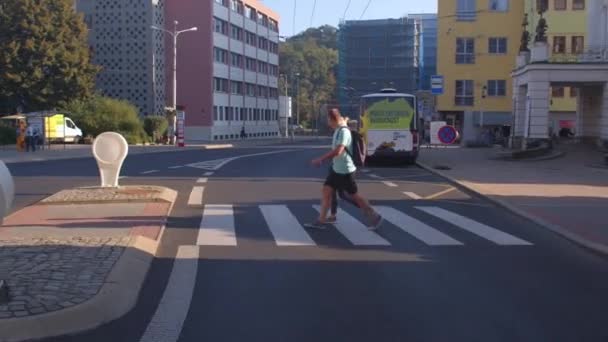 Para mężczyzn i kobiet poruszających się wzdłuż przejścia dla pieszych w mieście. — Wideo stockowe