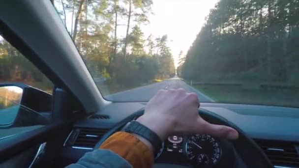 Blick aus dem Führerstand. Hand aufs Lenkrad lenkt Fahrzeuge auf Waldstraße — Stockvideo