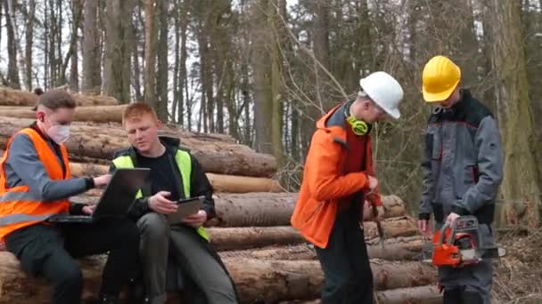 Die Konfliktsituation der Arbeiter beim Holzeinschlag. Der Manager schimpft auf den Mitarbeiter — Stockvideo