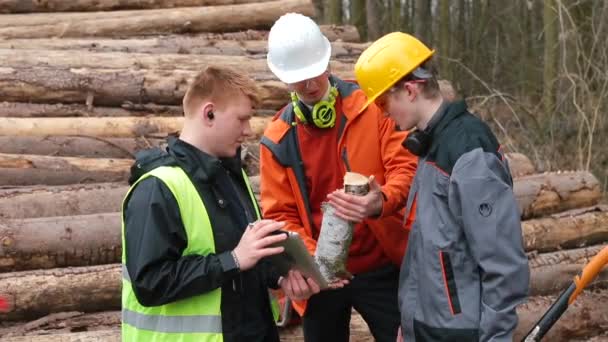 Engineer and workers discuss the quality of the timber before selling