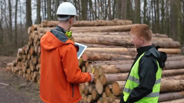 Dva dělníci diskutují o nakládce dřeva. Vyměňovat pracovní informace o protokolování. — Stock video