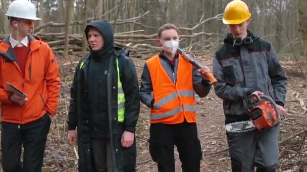 集体伐木工人穿越森林讨论工作问题小组工人 — 图库视频影像