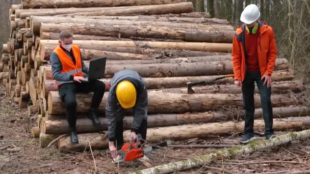 Виконання робіт з лісозаготівельних робіт. Асистент вирізає дерев'яну стовбурну пилку — стокове відео