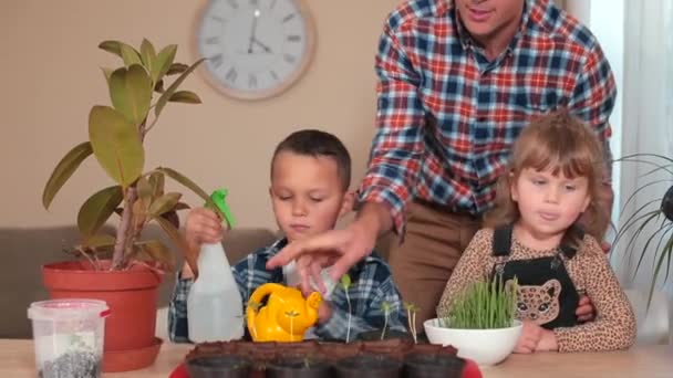 Padre insegna ai bambini piante di cura I bambini esaminano le piante acqua loro acqua — Video Stock