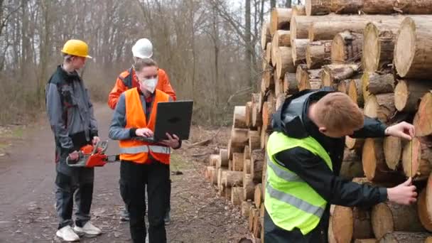 Medewerker maatregelen logs manager zegt informatie, boekhouding houtverkoop — Stockvideo