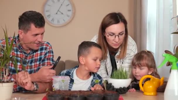 Ibu dan Ayah mengajari anak-anak bagaimana menanam tanaman. Mereka mengirimkan pengetahuan. — Stok Video