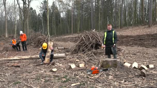 Pracownik logarytmiczny nosi dziennik, ustawia go. Obróbka drewna na drewno opałowe. — Wideo stockowe