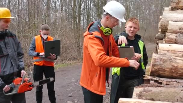 Team zagerij arbeiders meten logboeken voor verwerking. Gebruikt meetlint. — Stockvideo