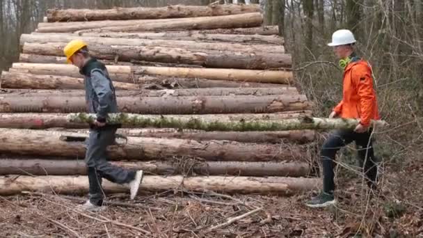 Gerente con empleado trae madera de tronco. Preparación del barril para la transformación — Vídeo de stock