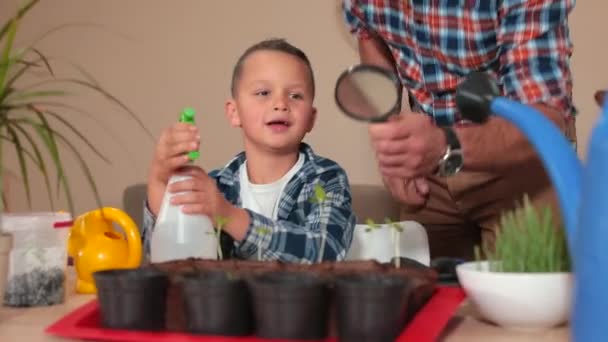 L'adolescente permette alle piante di flusso d'acqua. Papà guarda attraverso lente d'ingrandimento. — Video Stock